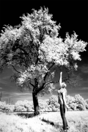 Fotograf roku v přírodě 2012 - Malý strom a vysoký skrček