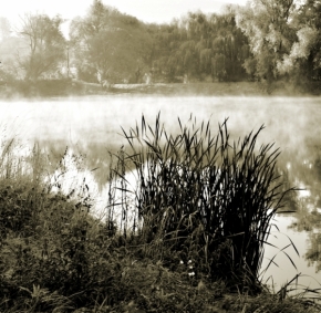 Fotograf roku v přírodě 2012 - mlha nad ryblíkem