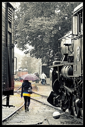 Fotograf roku na cestách 2012 - Sweden - Walking in the (t)rain.
