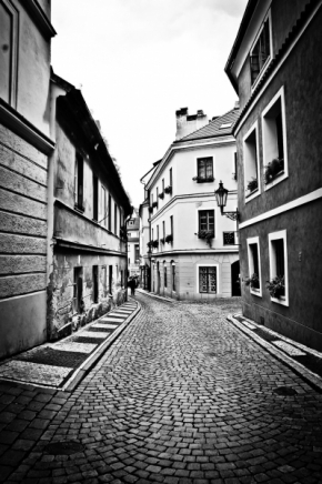 Fotograf roku na cestách 2012 - Pražská ulička
