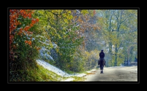Eva Machová - Zimní podzim aneb příroda maluje