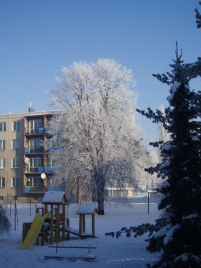 Stromy v krajině - Zimní strom z okna_Hlučín