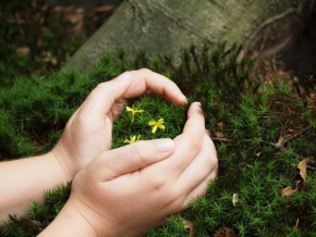 Miniaturní příroda - V dlaniach...