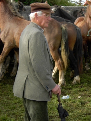 Člověk a jeho zvířátka - Horse fair