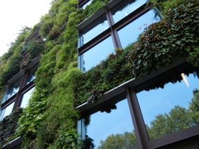 Architektura všech časů - Okna v zeleni