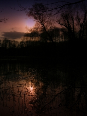Za soumraku i za svítání - Soumrak u rybníka