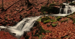Fotograf roku v přírodě 2013 - Vodopády pod Lysou