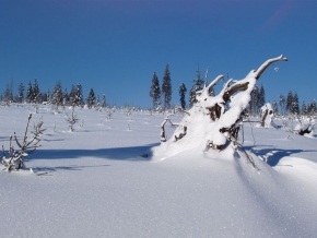 Kouzlení zimy - Panenská příroda