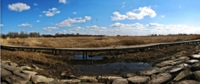 Fotograf roku v přírodě 2013 - Estonské jaro