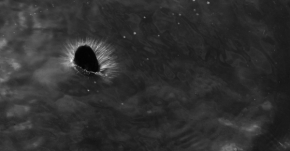 Barbora Nehvizdová - meteorit ve vodě 
