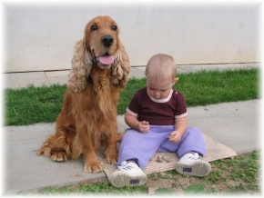 Člověk a jeho zvířátka - Hlídám dítě i drahé kameny  :-)