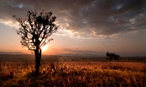 Za soumraku i za svítání - Soumrak v NP Kidepo Valley