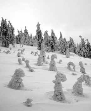David Křivonožka - Kabát ze sněhu