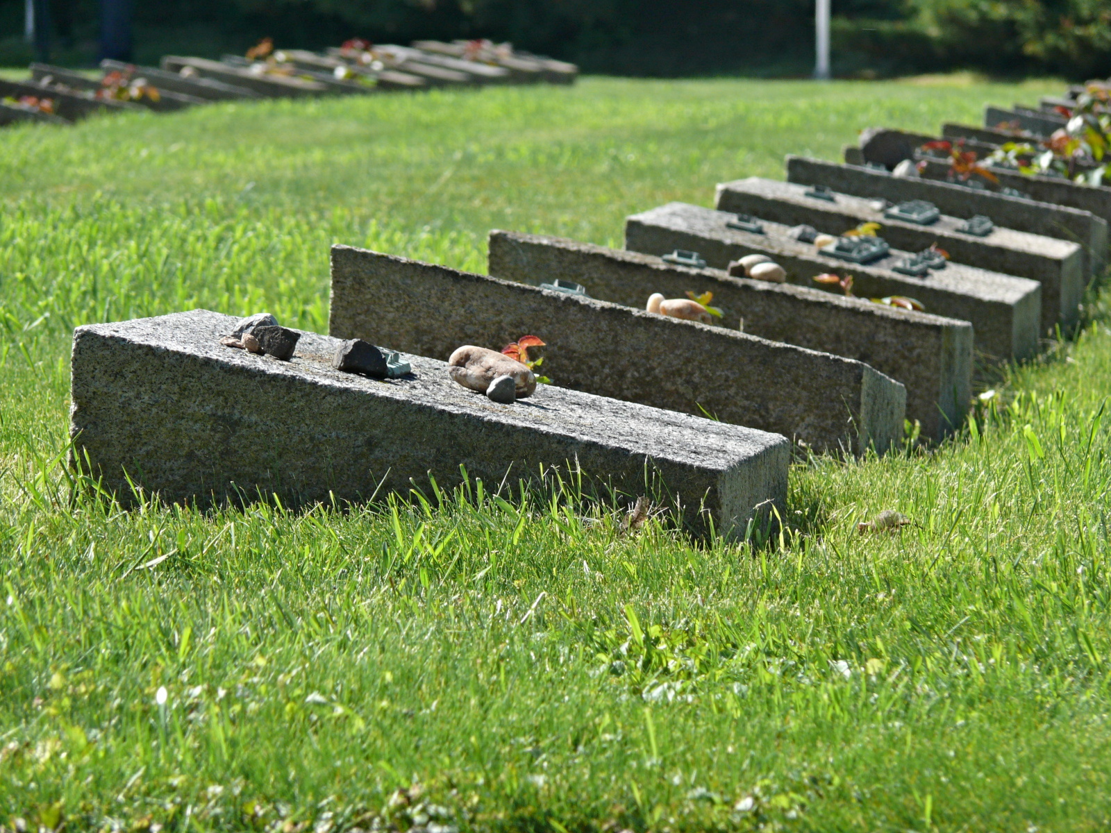 Terezínské hroby