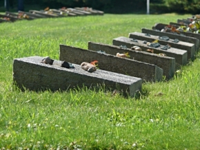 Fotograf roku na cestách 2013 - Terezínské hroby