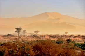 Fotograf roku na cestách 2013 - Namibie 2