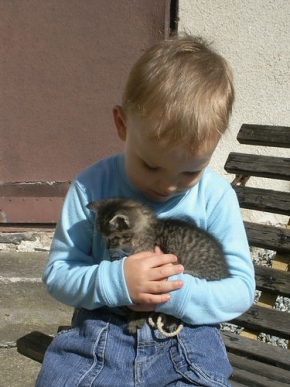 Člověk a jeho zvířátka - Koťátko 1