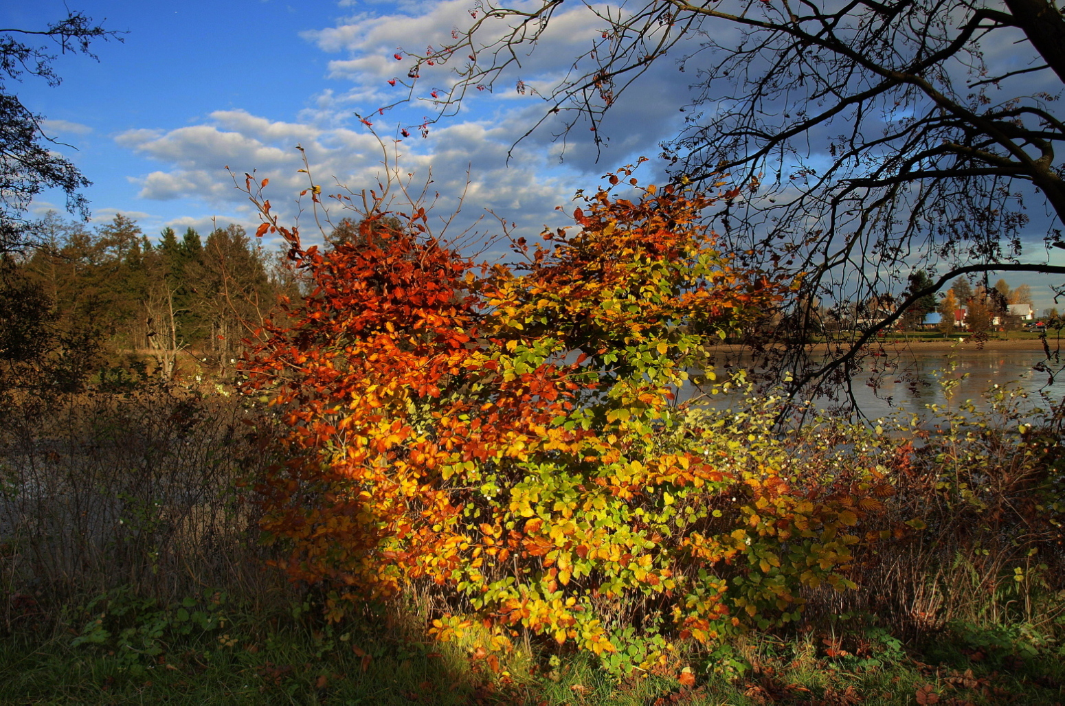 Barvy podzimu na Betlému 