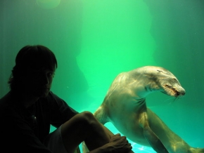 Člověk a jeho zvířátka - Fotograf roku - Kamarád z akvária