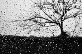 Černobílý svět - Fotograf roku - Kreativita - V.kolo - Deštivý den