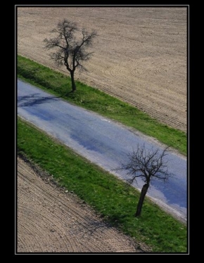 Stromy v krajině - Fotograf roku - junior - Dvojčata