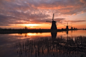 Fotograf roku na cestách 2014 - Kinderdijk, Nizozemsko