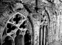 žal gotických oken
