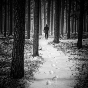 Zimní království - Fotograf roku - Kreativita - III.kolo - Lesem