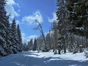 Zimní království - cesta na Poledník