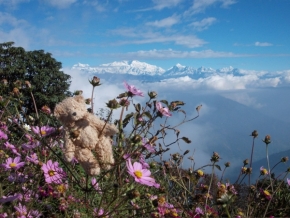 Fotograf roku na cestách 2014 - s přítelem v Himálaji