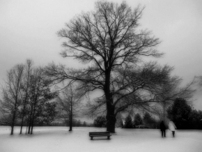 Zimní království - Black and white
