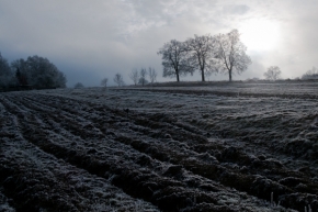 Zimní království - Novoroční ráno