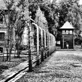 Peter Maděránek - Auschwitz-Birkenau 2