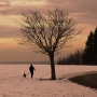 Jan Brabenec -procházka se psem
