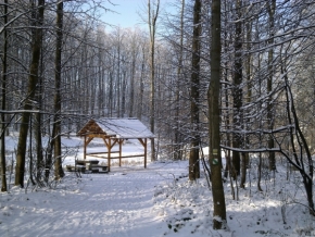 Fotograf roku v přírodě 2014 - Zima u Rozcestí čarodějnic
