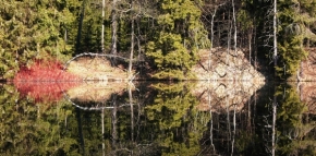 Fotograf roku v přírodě 2014 - Zrcadlení