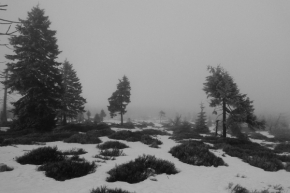 Jarka Hlaváčová - Zimní mlha v Jizerkách