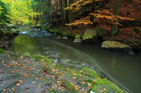 Fotograf roku v přírodě 2014 - podzimní toulky řekou