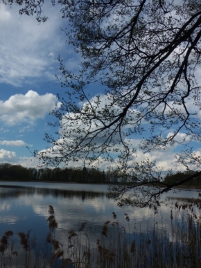 Moje nejkrásnější krajina - Třeboňsko, krajina rybníků