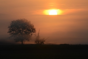 Moje nejkrásnější krajina - Mlhavé ráno