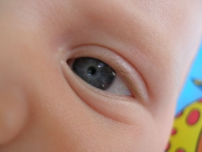 Makrosvět - Oko mého syna