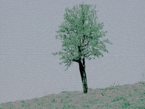 Tomáš Maněna - Prostě strom