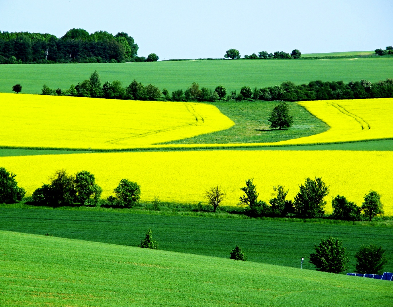 Krajina zelená a žlutá