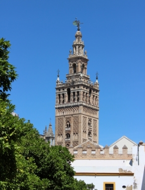 Fotograf roku na cestách 2014 - Sevillská katedrála