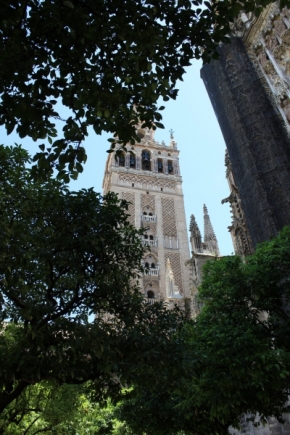 Fotograf roku na cestách 2014 - Sevillská katedrála - 2