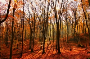 Moje nejkrásnější krajina - červený podzim