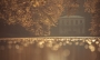 Robert Adamec -Podzim v parku