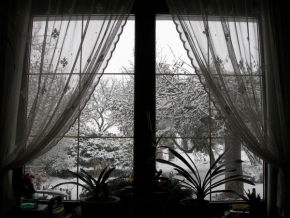 Kouzlení zimy - Okno do zahrady