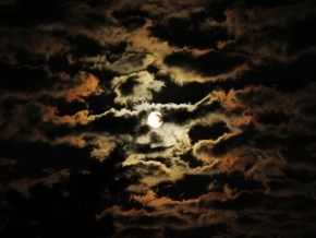 Kouzla přítmí a soumraků - moonlight shadow