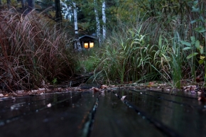 Fotograf roku v přírodě 2014 - Na samotě u lesa